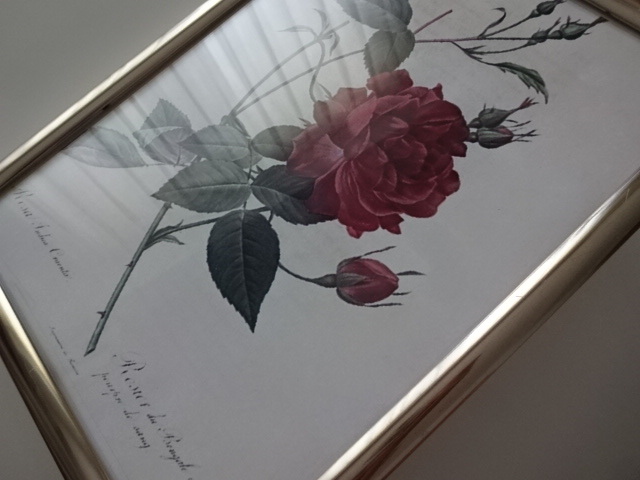 アートフレーム§A4額(選択可)写真ポスター付§赤い薔薇・バラ・ローズ・1輪・アンティーク風・ビンテージ風・植物・花・ルドゥーテ_こちらはシャンパンゴールドです