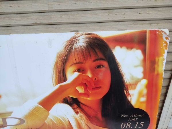  not for sale extra-large ZARD.. panel .. poster The -do slope . Izumi water premium selection sale memory 