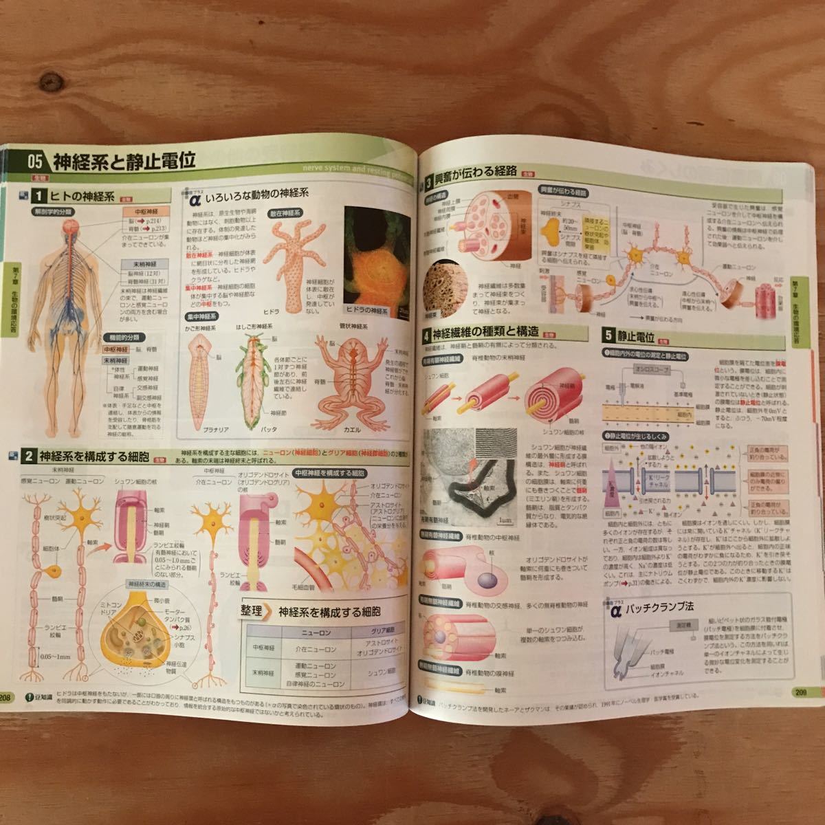 item_image_6