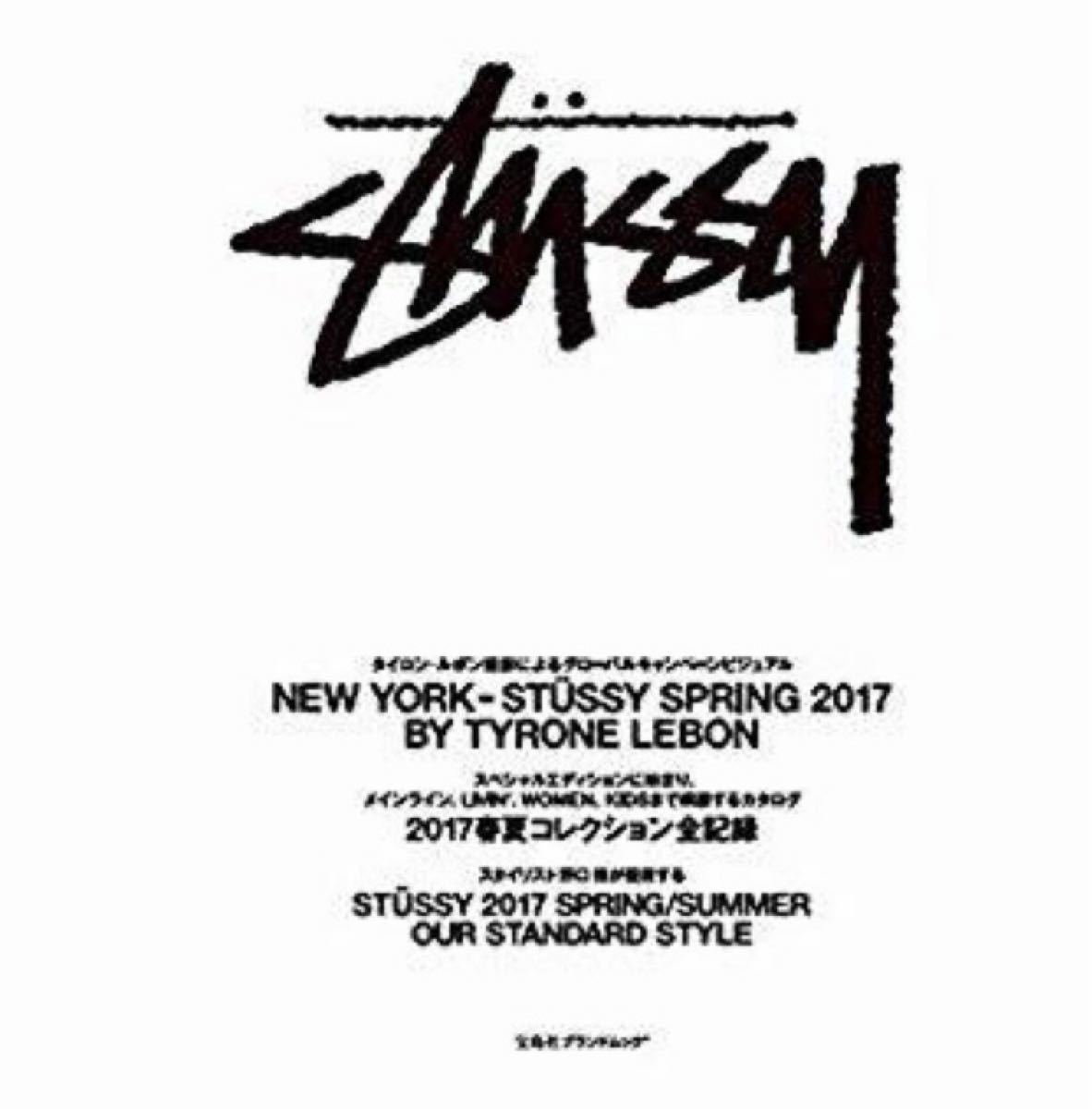 ☆STUSSY☆ステューシー 2WAYショルダー・トートバッグ☆特別付録☆