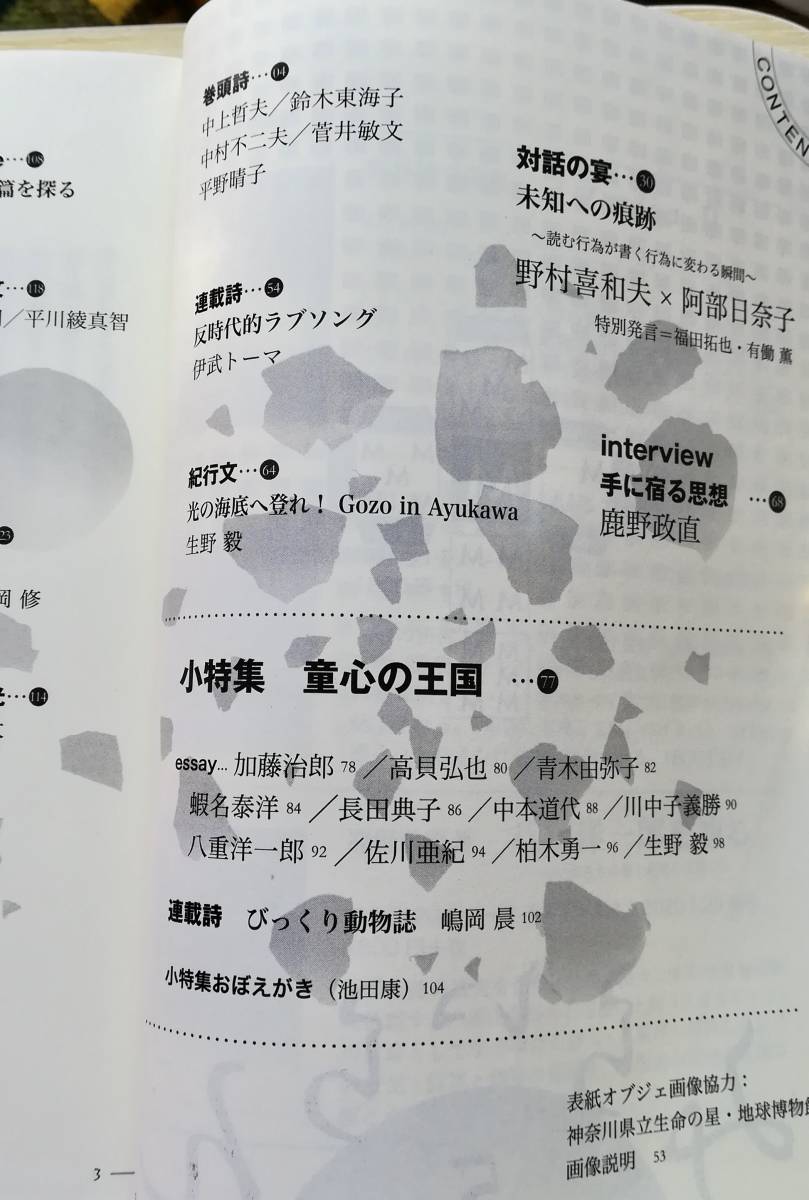 ＜フランス本＞　送料無料　みらいらん　第５号　２０２０年　野村喜和夫　阿部日奈子　中上哲夫_画像3