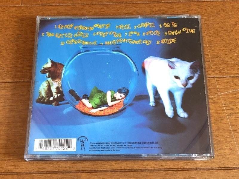 美盤 Ani DiFranco アーニー・ディフランコ 1997年 CD リトル・プラスティック・キャッスル Little Plastic Castle 欧州盤_画像2
