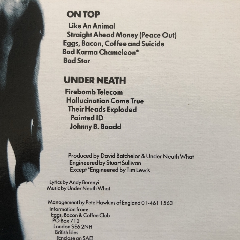 美盤 レア物 アンダー・ニース・ホワット Under Neath What? 1989年 LPレコード What Is It 米国盤 UK Alternative rock_画像5