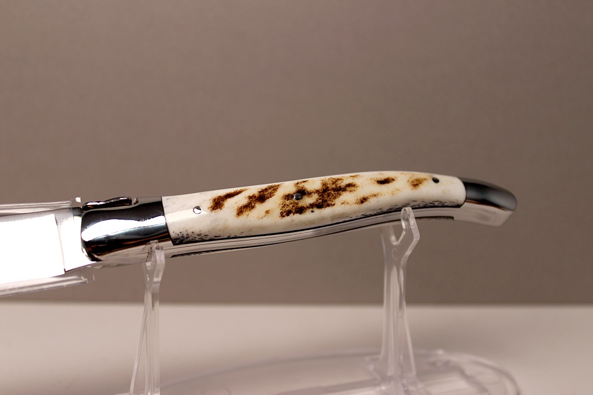 DEER HORN 鹿の角