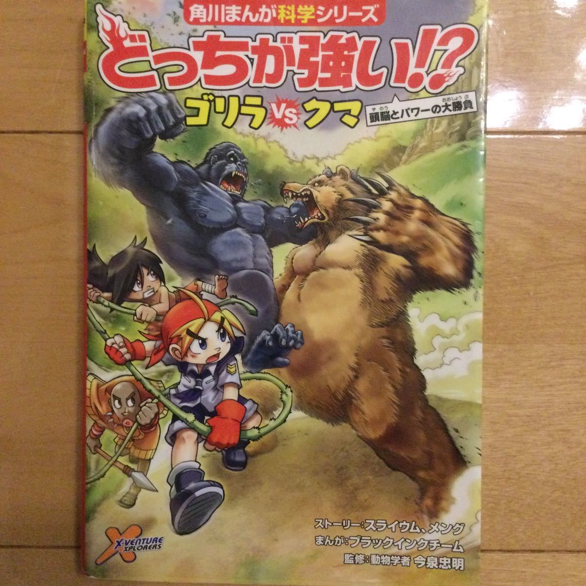 どっちが強い!? ゴリラVS (たい) クマ 頭脳とパワーの大勝負/今泉忠明