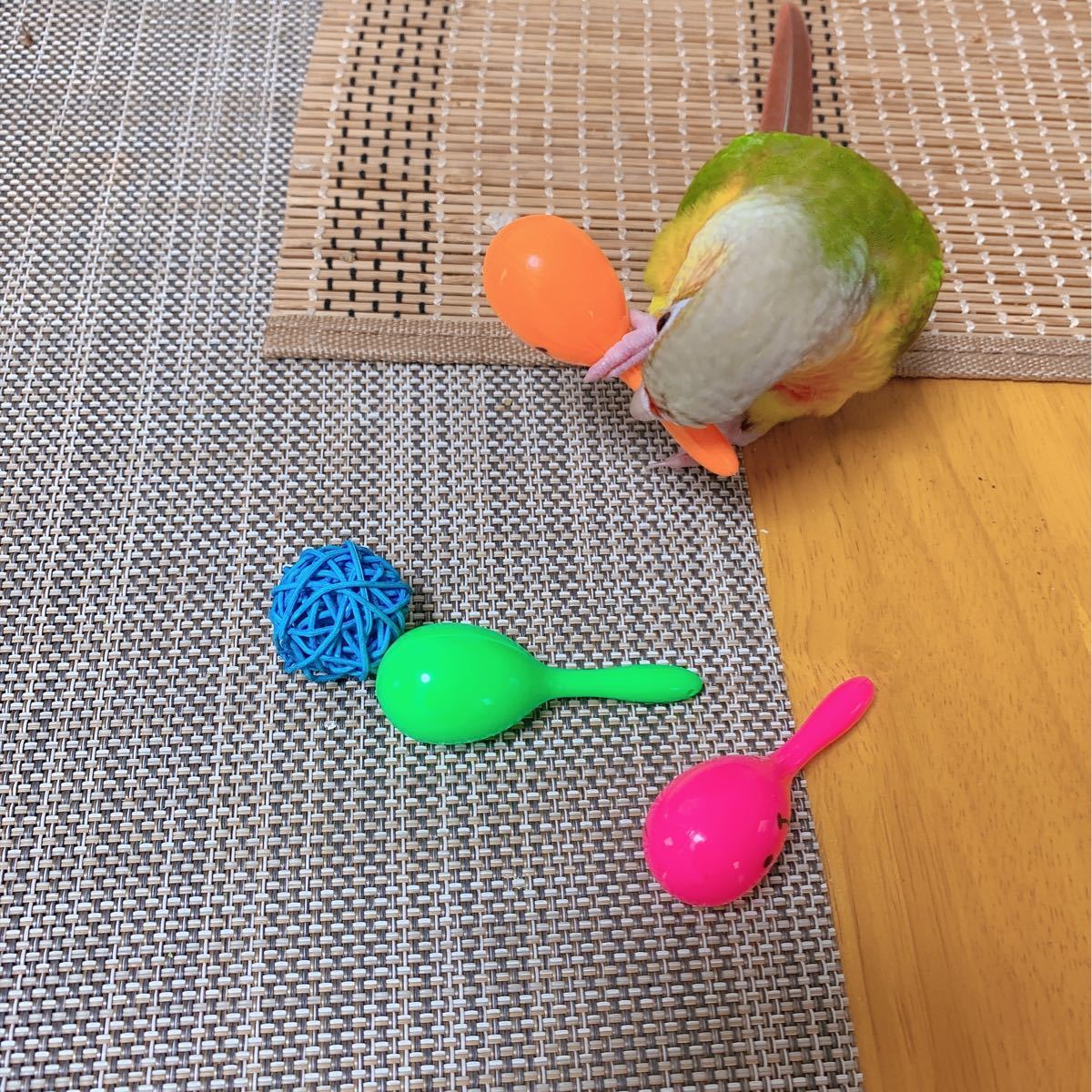 ☆1個☆ インコ おもちゃ 小鳥の玩具 マラカス 鳥用品 鳥グッズ