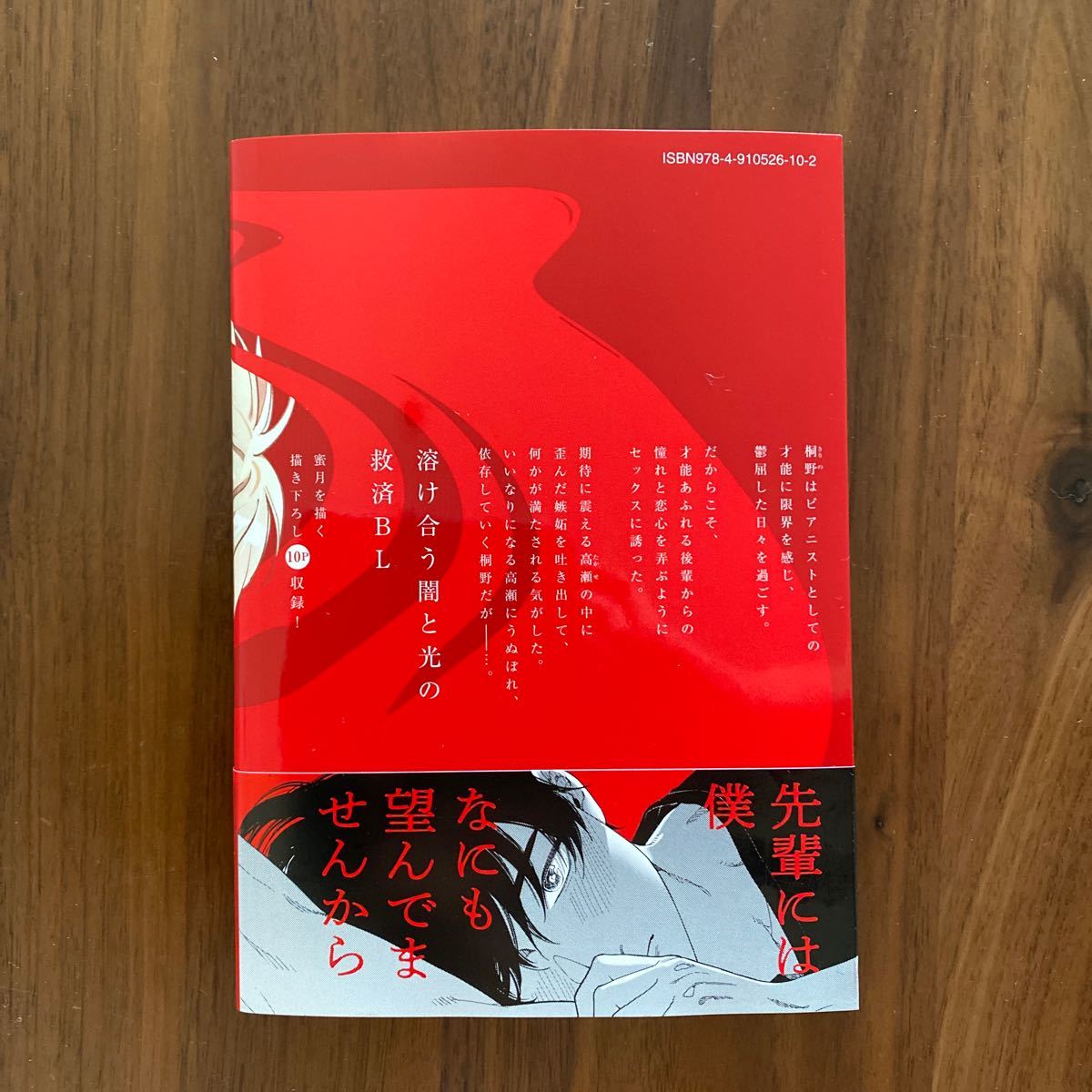 嫉妬は愛を曇らせる（有償特典小冊子・ペーパー付）汀えいじ