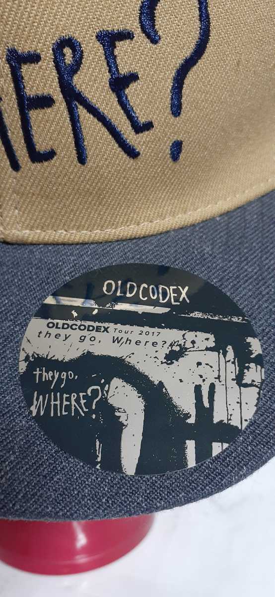 Y-H OLD CODEX 2017 TOUR キャップ帽子 オーク　平ツバ　スナップバック_画像5