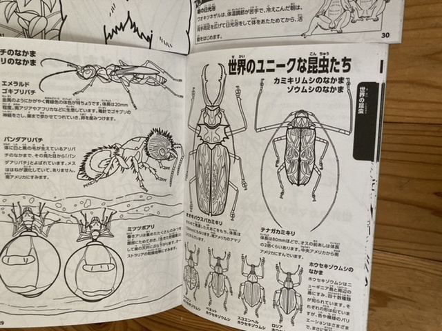 新品未使用即決送料無料♪動く図鑑move動物&昆虫学べるぬりえ2冊セット子供も大人も楽しめる♪おうち時間ステイホーム