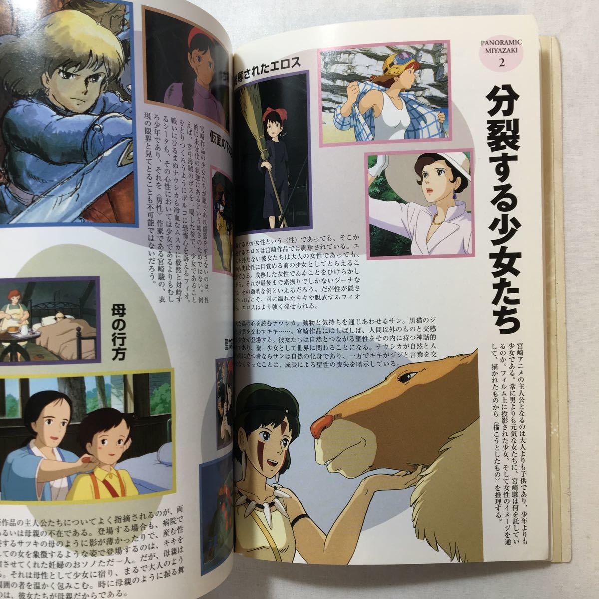 zaa-251♪ユリイカ1997年8月臨時増刊号 総特集=宮崎駿の世界 ムック 1997/8/1_画像5