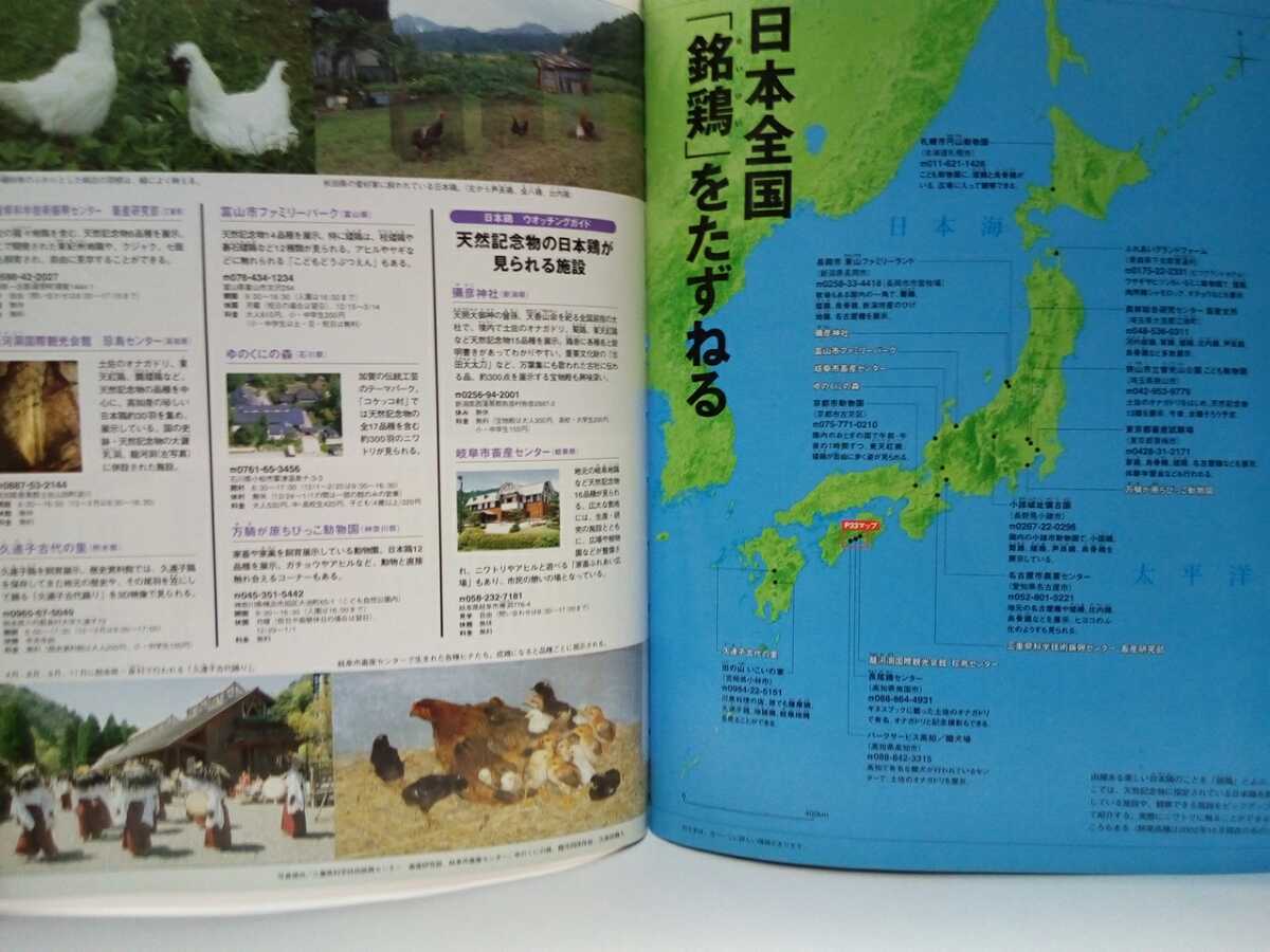 週刊日本の天然記念物28土佐のオナガドリ 土佐の尾長鶏 高知県