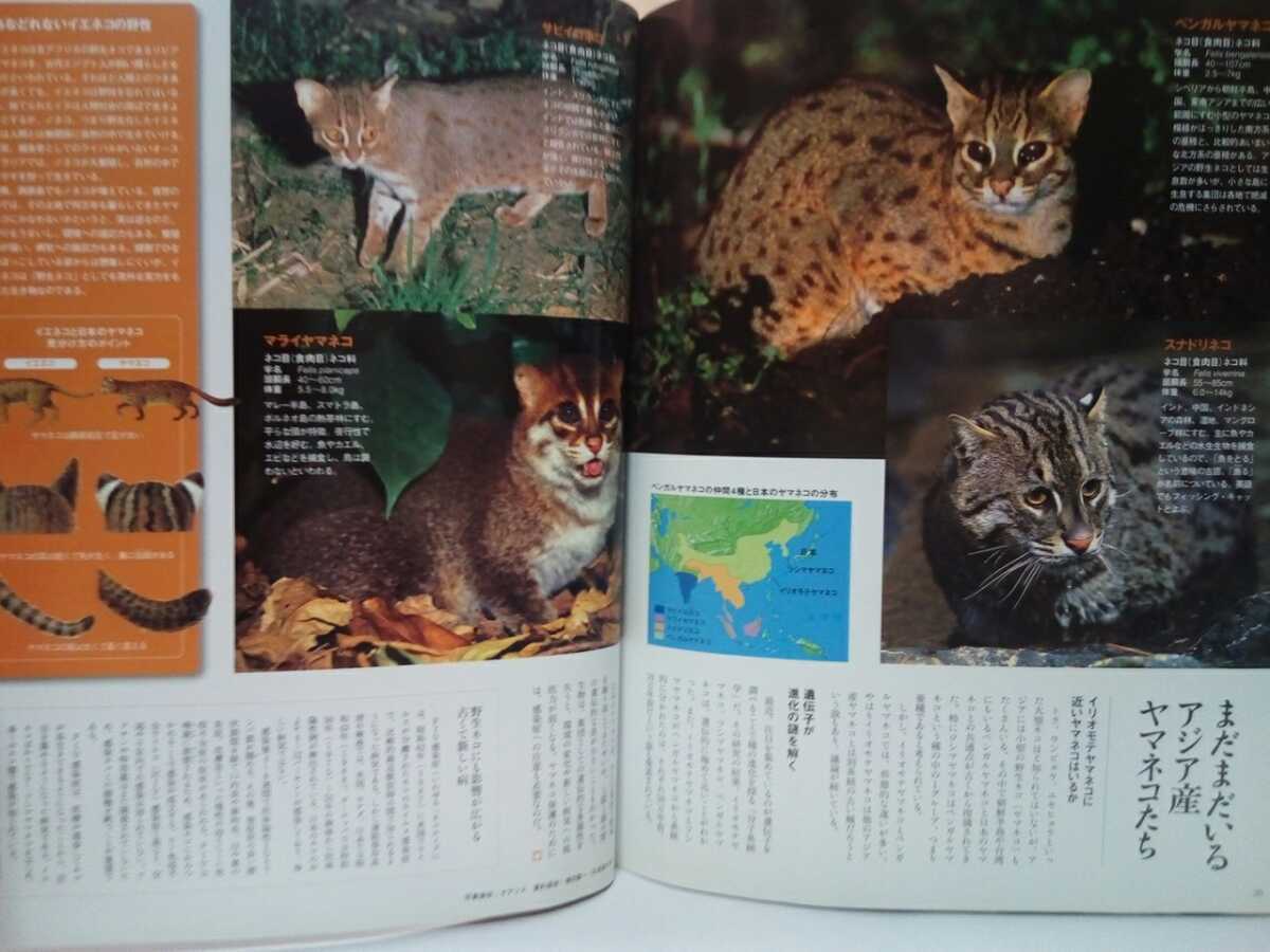 ヤフオク 絶版 週刊日本の天然記念物1イリオモテヤマネコ ヤフオク 絶版 週刊日本の天然記念物1イリオモテヤマネコ