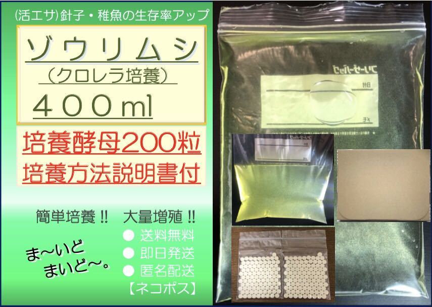 ●送料無料 匿名配送 即日発送● ゾウリムシ クロレラ培養 400ml +ビール酵母 200粒　【めだか 針子 稚魚 金魚 シュリンプ 熱帯魚】活餌_画像1