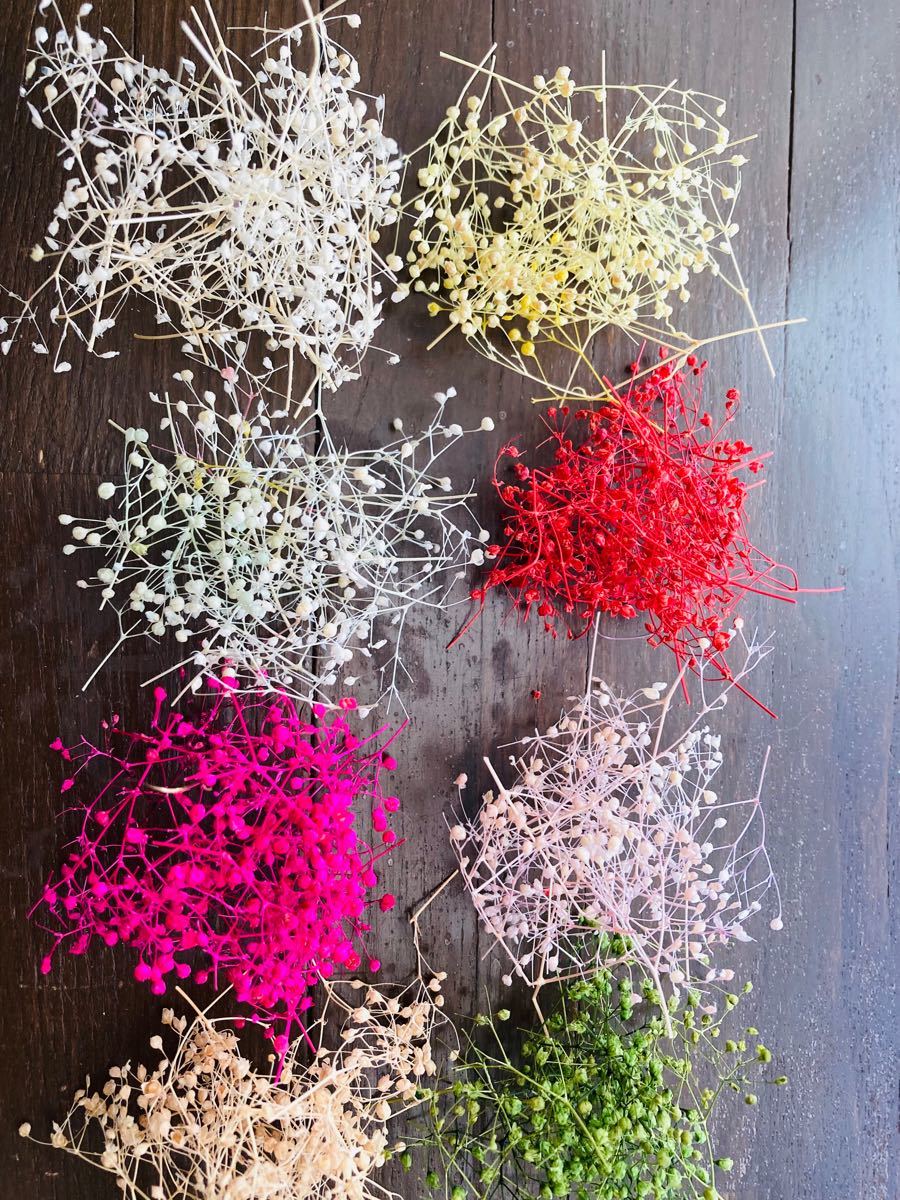 ミニかすみ草8色詰合せ　プリザーブドフラワー　花材　ハンドメイド　アクセサリー小花　 かすみ草 ハーバリウムボールペン　サシェ