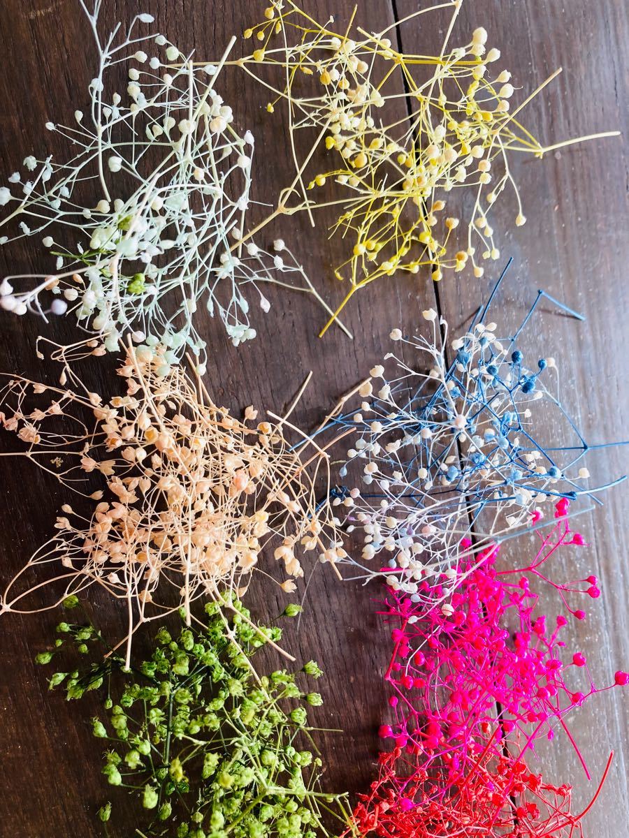 ミニかすみ草8色詰合せ　プリザーブドフラワー　花材　ハンドメイド　小花 かすみ草  ハーバリウム花材　サシェ　