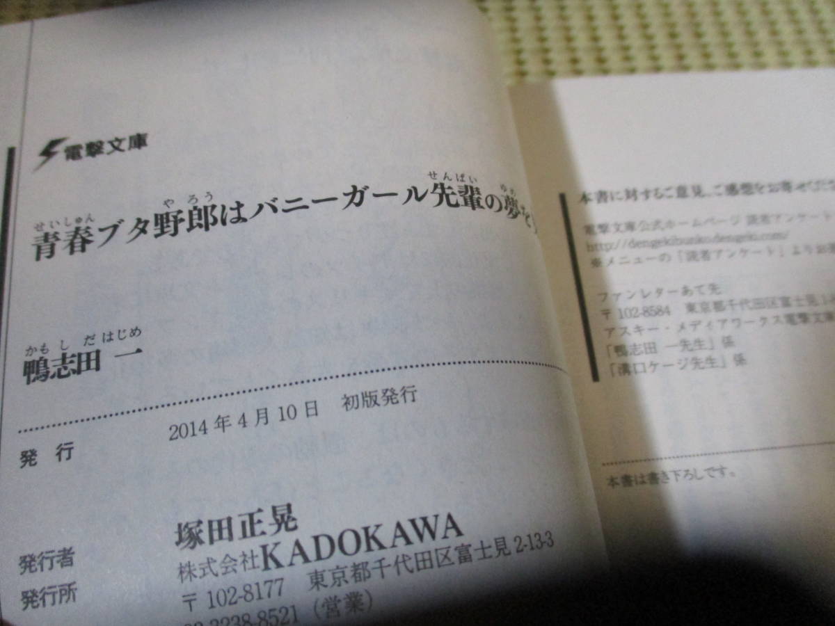 青春ブタ野郎はバニーガール先輩の夢を見ない＋プチデビル後輩の夢を見