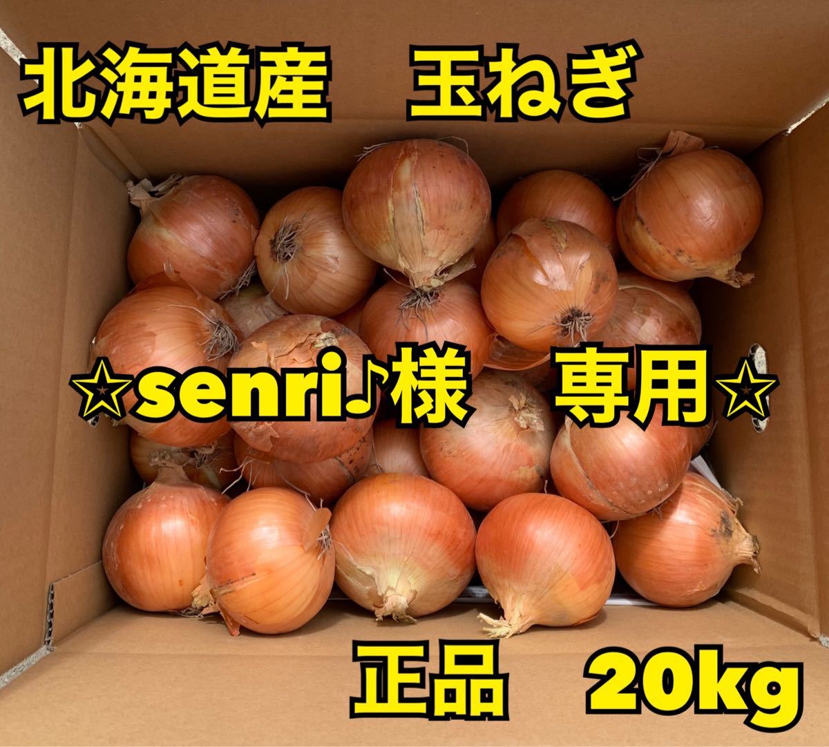 宅配便配送 玉ねぎ様専用 - ヘッドフォン - alrc.asia