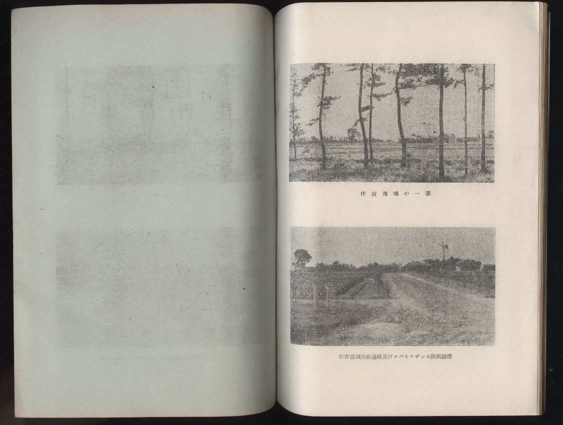  три слоя префектура Suzuka город .. рассада поле Kameyama ...1952 год . включено map 5 листов ввод :. индустрия дерево .. саженец культивирование лес . управление структура .. окружающая среда метеорологические явления почва условия . способ компост удобрение 