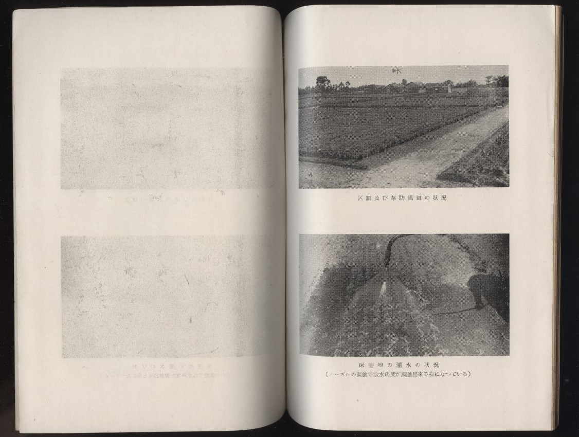  три слоя префектура Suzuka город .. рассада поле Kameyama ...1952 год . включено map 5 листов ввод :. индустрия дерево .. саженец культивирование лес . управление структура .. окружающая среда метеорологические явления почва условия . способ компост удобрение 