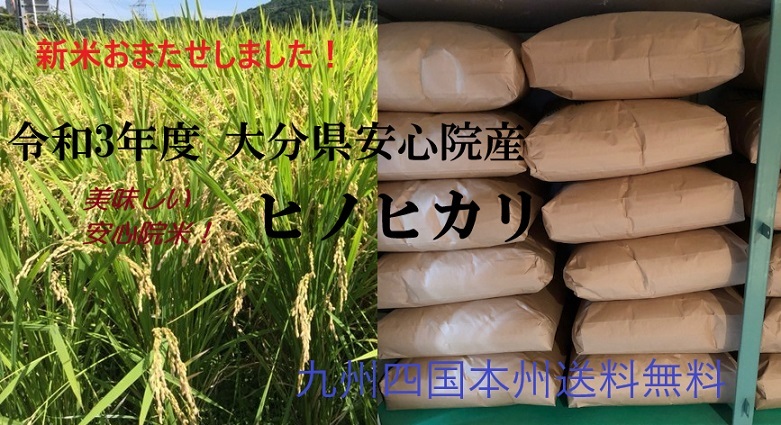 令和3年度新米!★大分県安心院産ヒノヒカリ玄米10kg★九州四国本州送料無料★安心院の名水 権現水で育っています★_画像1