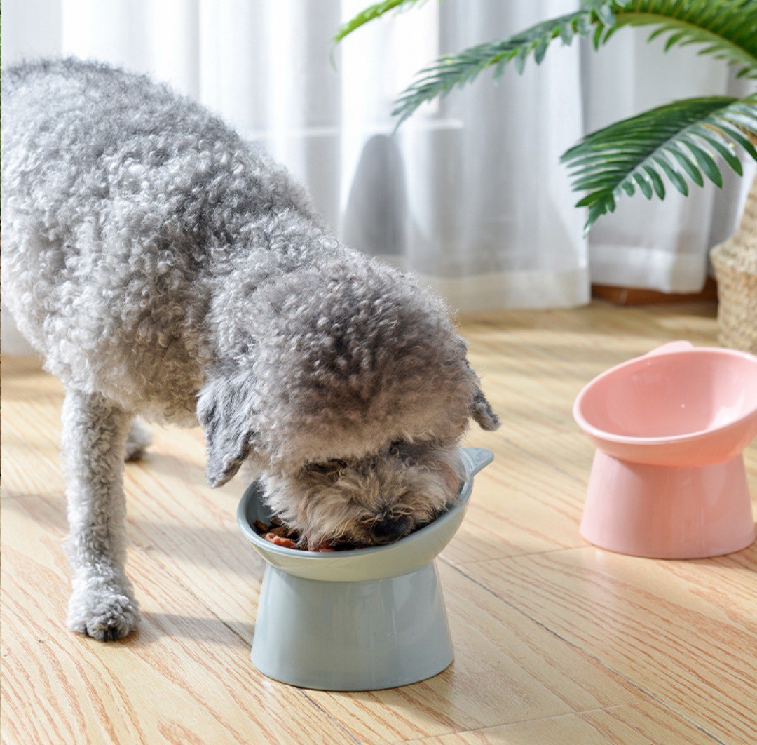 猫犬フードボール4個セット(=^ェ^=)エサ用スプーン付き傾斜付き食べこぼし防止　