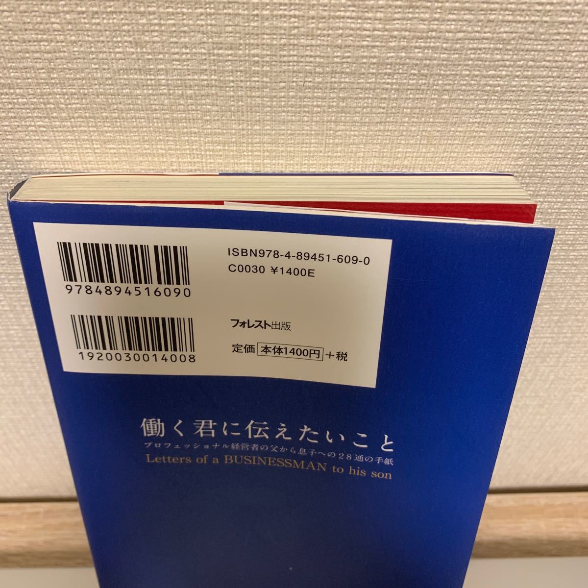 働く君に伝えたいこと プロフェッショナル経営者の父から息子への28通の手紙/岩田松雄