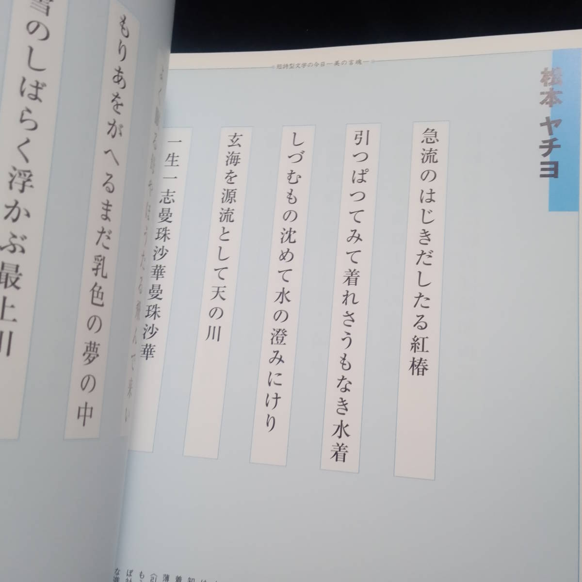 花美術館 Vol.12 特集 近代文学の革新　正岡子規　_画像6