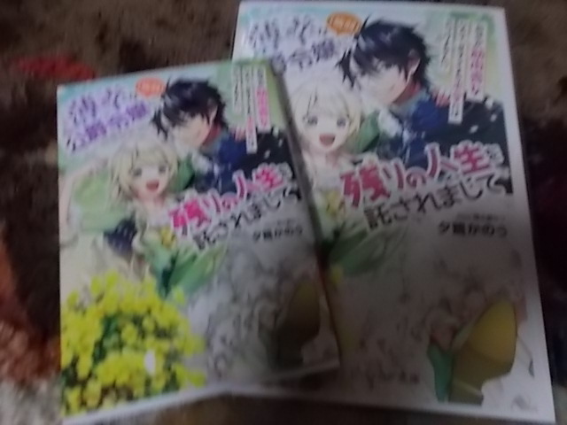アニメイト 特典ssペーパー付 10月新刊 かのう なつ に ビーズログ文庫 南々瀬 夕鷺 幸な公爵令嬢 残りの人生を託されまして 病弱 偉大な 10月 新刊 アニメイト 特典ssペーパー付 10月新刊 かのう なつ に ビーズログ文庫 南々瀬 夕鷺 幸な公爵令嬢 残りの人生を託されまして 病弱 偉大な 10月 新刊