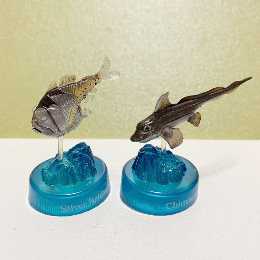  rare rare out of print deep sea living thing 2 figure collection 12 kind together set Secret bottle cap deep sea living thing fish not for sale Kaiyodo 