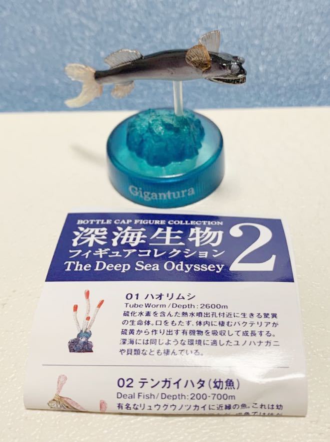 ヤフオク! - 絶版 深海生物2 フィギュア コレクション 04 ボ... ヤフオク! - 絶版 深海生物2 フィギュア コレクション 04 ボ...