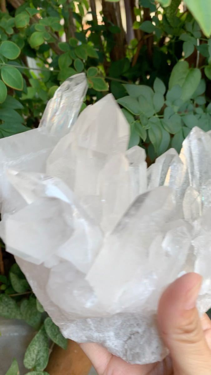 天然石　希少　水晶クラスター　トマスゴンサガ産　特大