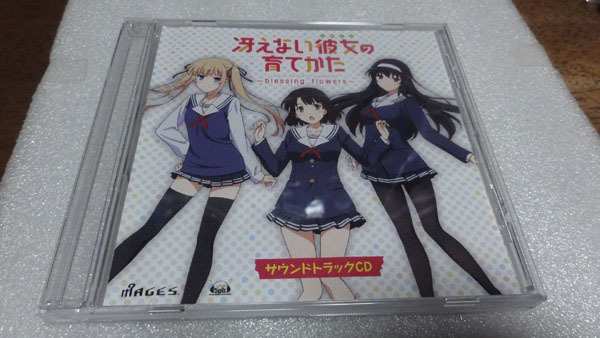 Amazon.com: SAENAI HEROIN NO SODATE KATA -blessing flowers