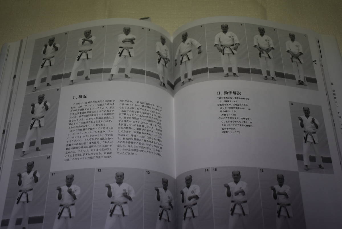 空手技術書　「真伝　糸東流空手道」塩川寶祥著_画像9