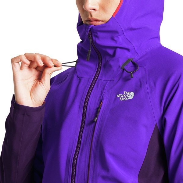 送料無料 The North Face Apex Flex GTX 2 0 Jacket GORE-TEX