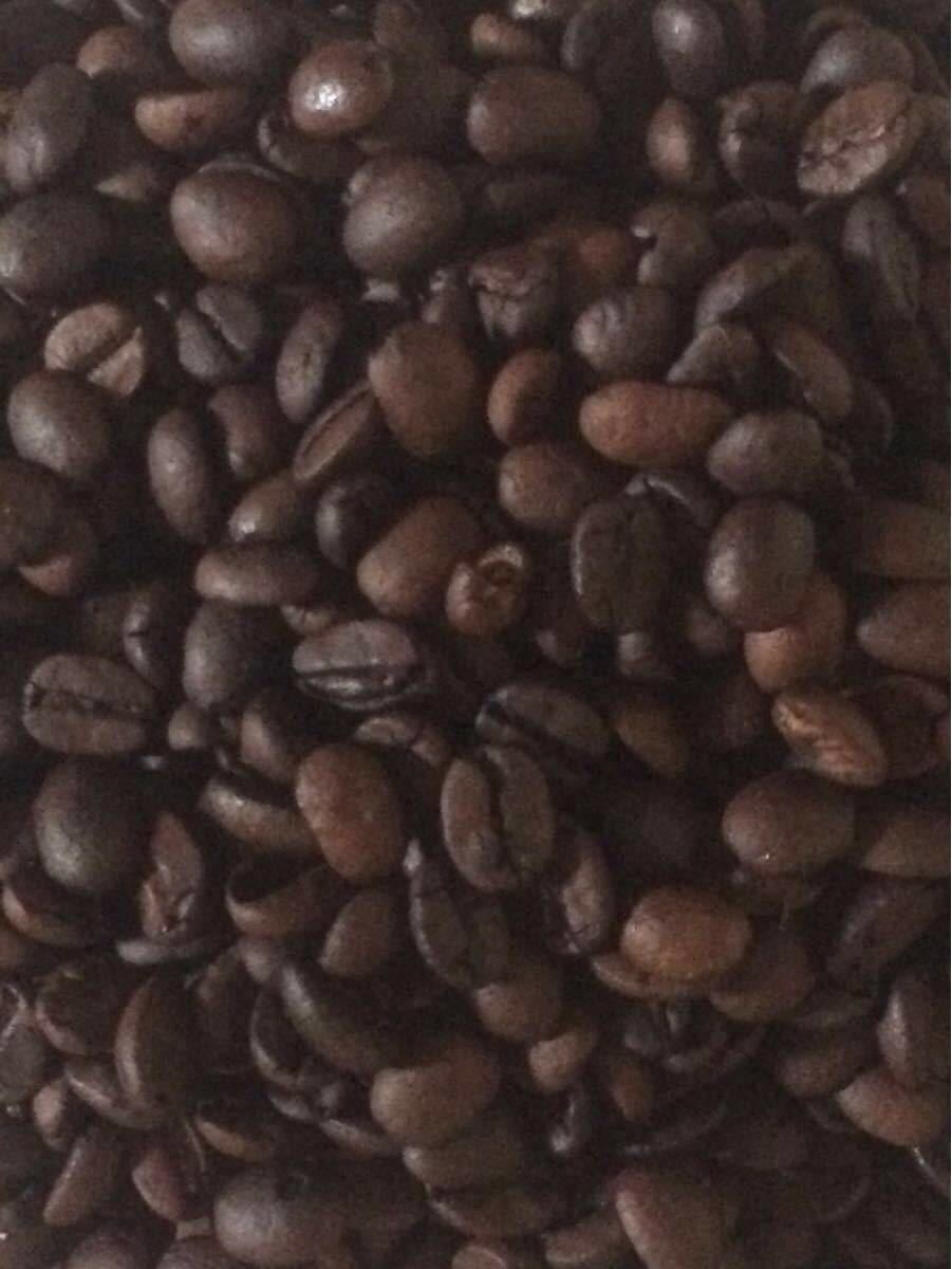こだわりコーヒー豆 ブラジルNo.2 カルモデミナス 500g シテイロースト 中深煎り 自家焙煎珈琲 ★調和の取れた味と香り