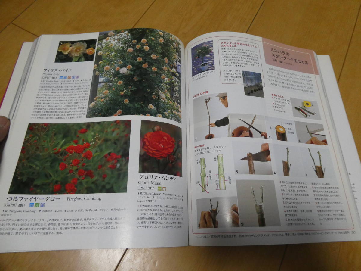 別冊NHK趣味の園芸 バラ大百科 選ぶ、育てる、咲かせる　送料無料_画像7