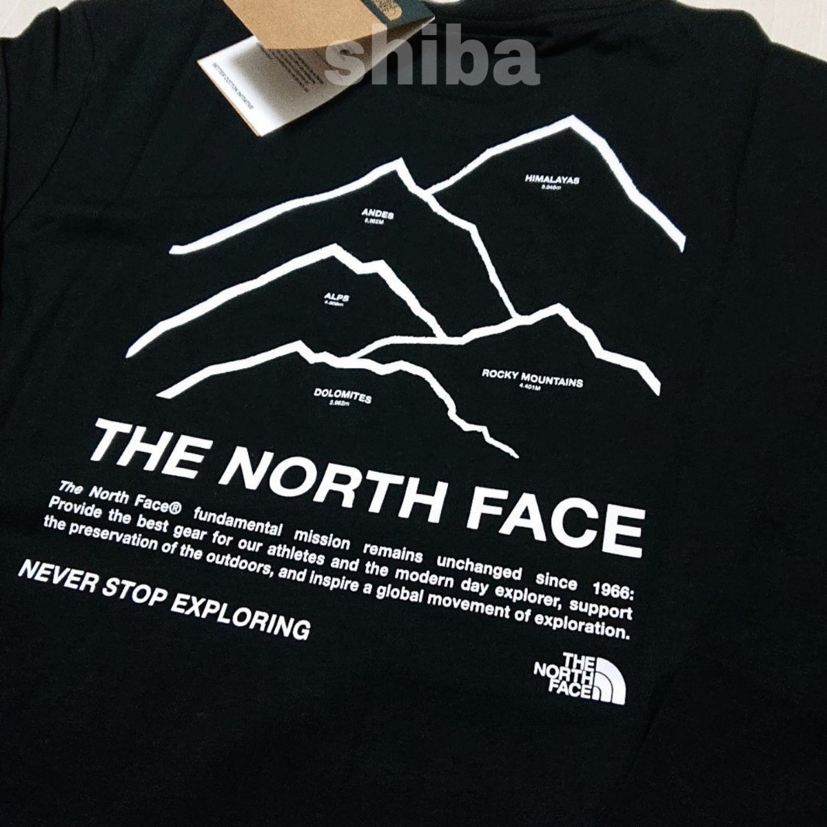 THE NORTH FACE ノースフェイス　長袖　ロンT ロング tシャツ 黒 ブラック ピークス Peaks 海外XSサイズ