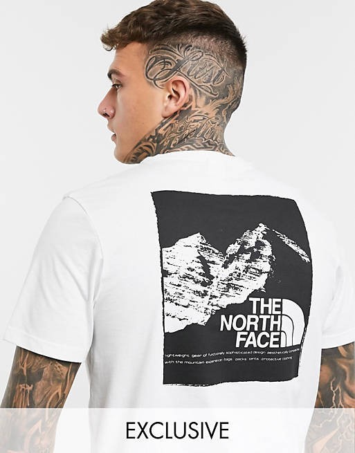 THE NORTH FACE ノースフェイス　tシャツ 半袖 ホワイト 白 マウンテングラフィック Graphic 海外Lサイズ