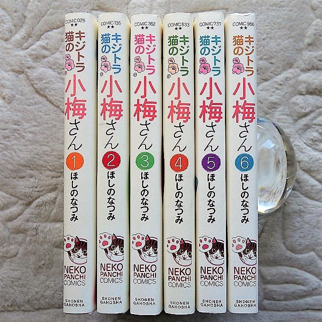 ◎キジトラ猫の小梅さん 1～６巻セット◎ ほしのなつみ 少年画報社◎_画像1