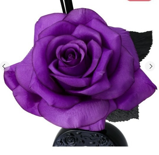 フランフラン ANNASUI アナスイ ルームフレグランス ブラック フランフラン ANNASUI アナスイ ルームフレグランス ブラック
