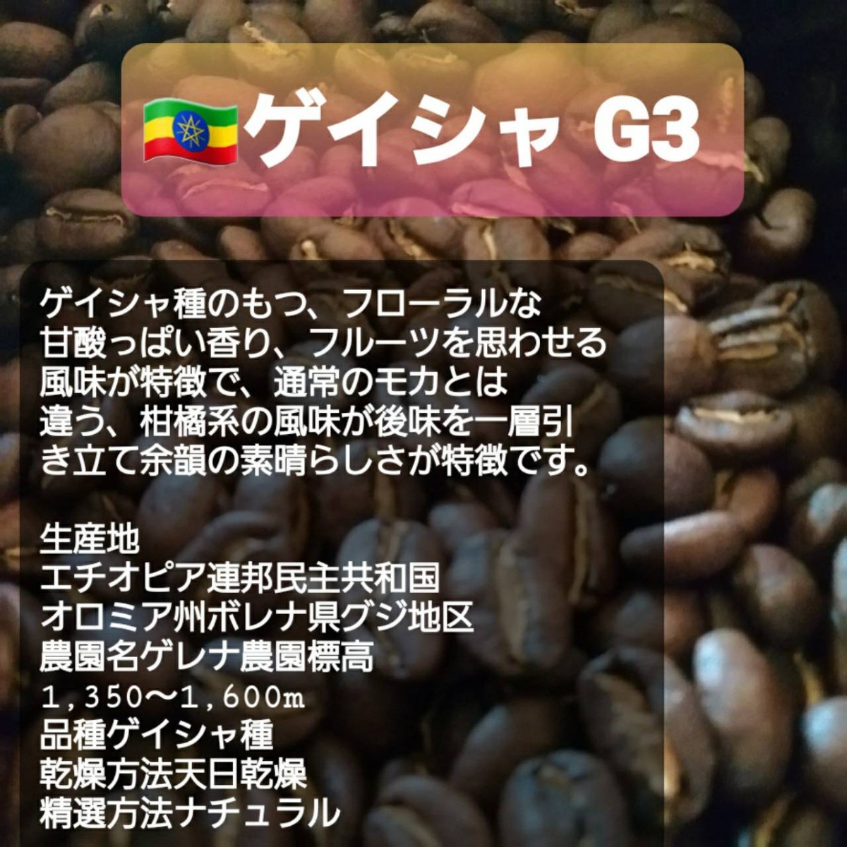 自家焙煎屋　コーヒー豆　エチオピアゲイシャG3　300g 簡易包装