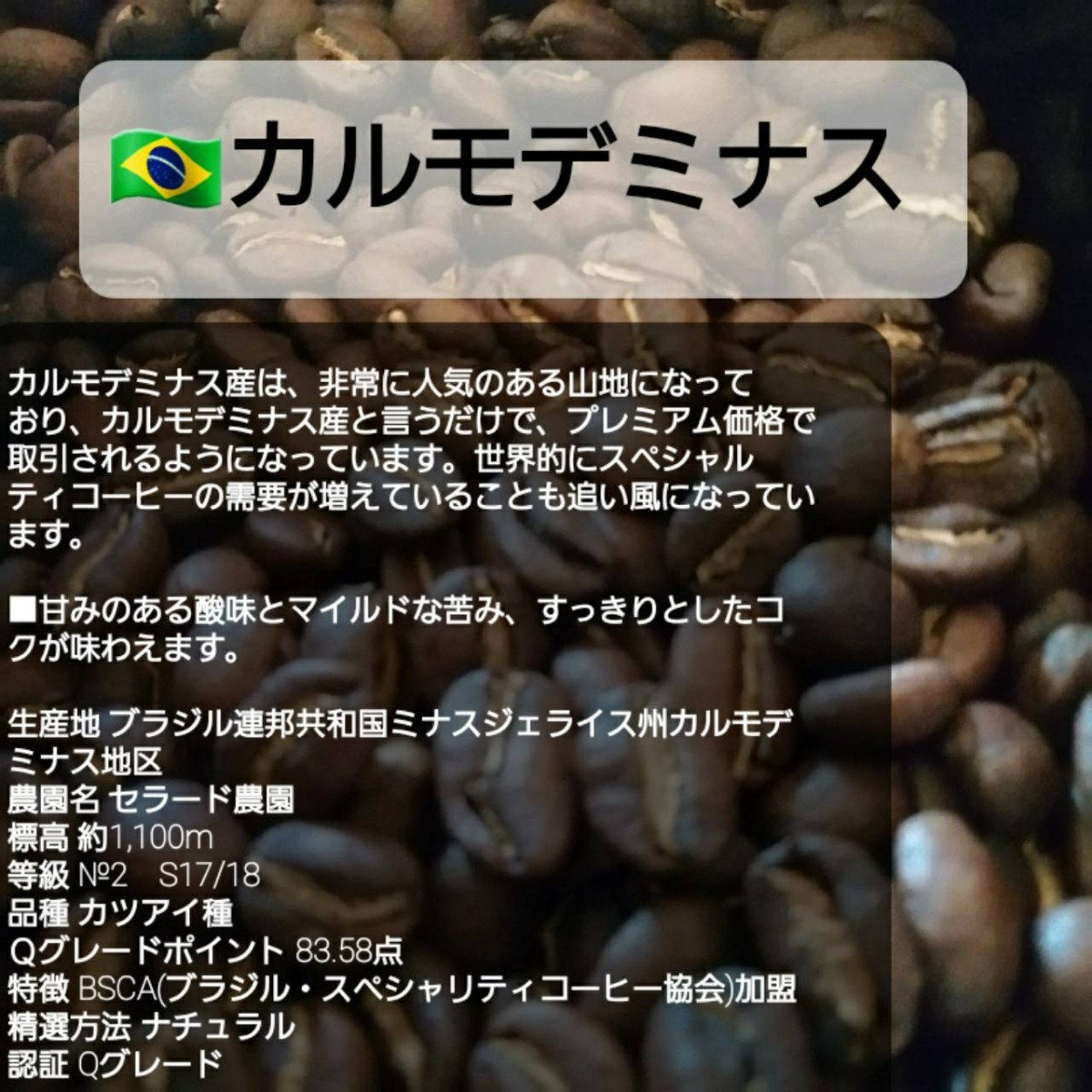 ②自家焙煎屋　コーヒー豆　Qグレード4種類セット 600g