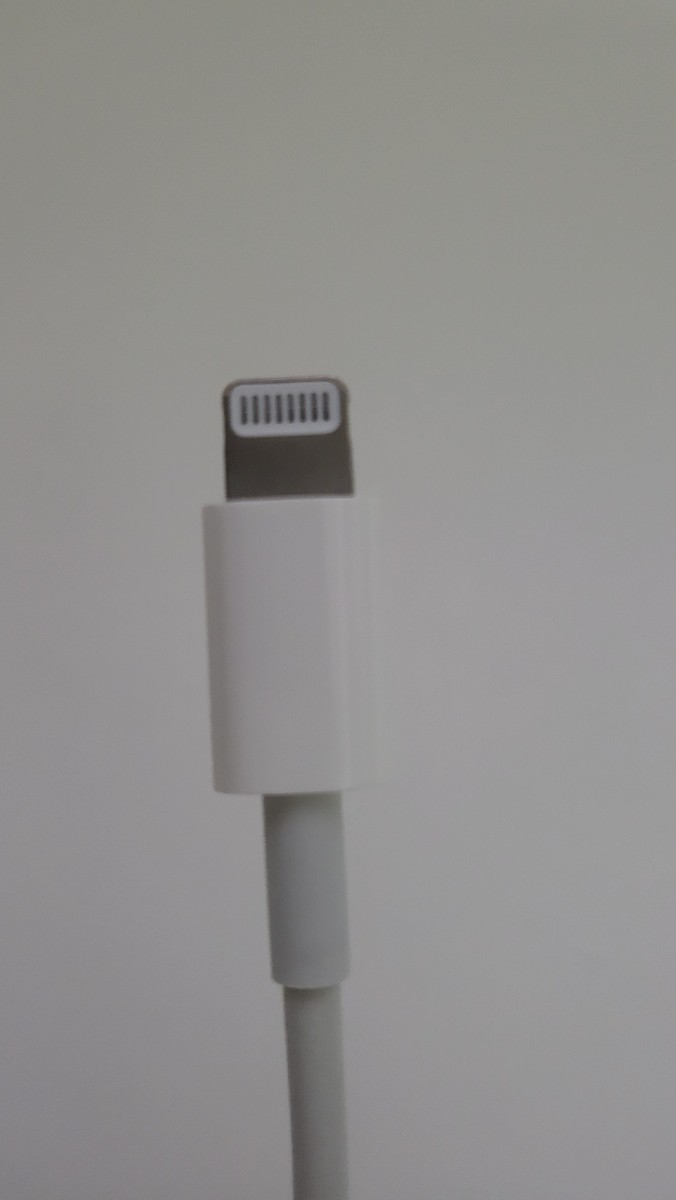iPhone Apple USB-C to Lightningケーブル