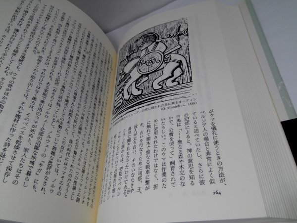 肉食タブーの世界史 フレデリック・J・シムーンズ/山内昶ほか/叢書・ウニベルシタス709/法政大学出版局【即決あり】_画像6