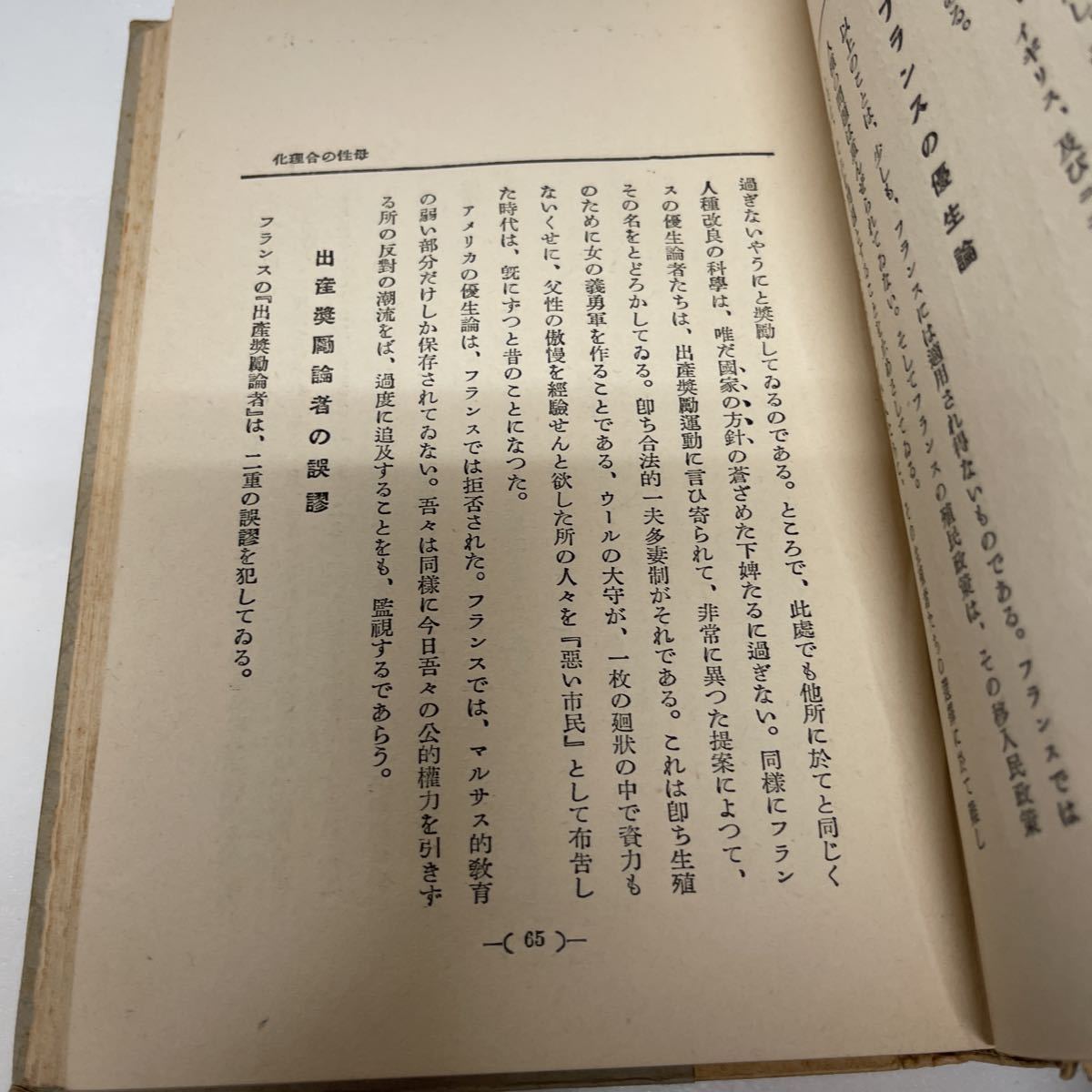 性慾生活の合理化 性政策のために ファーブル・ルュース（著） 青山正夫（訳） 昭和5年 初版_画像5