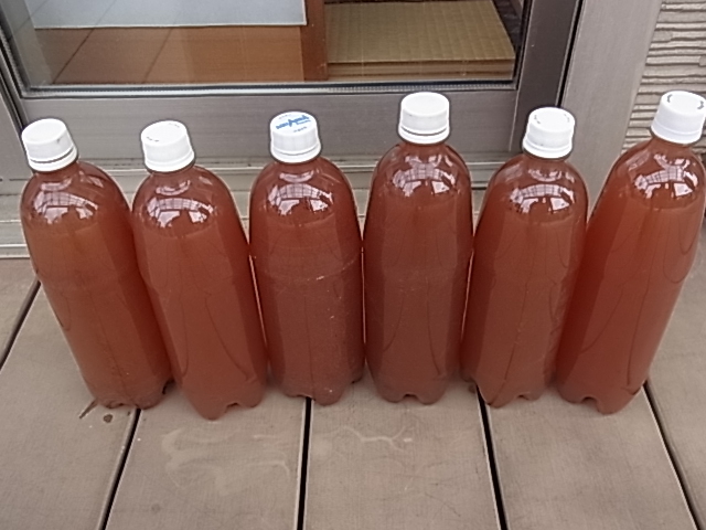 PSB(光合成細菌) 　6L（6000ｍｌ）　自家製　　メダカの稚魚などに　ゆうパックおてがる版_画像1