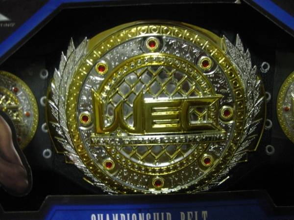 WECチャンピオンTOYベルト 総合格闘技 PRIDE　MMA_画像2