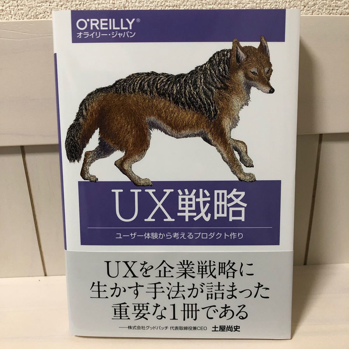 UX戦略 ユーザー体験から考えるプロダクト作り/JaimeLevy/安藤幸央/長尾高弘