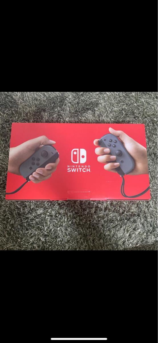 ニンテンドースイッチ Nintendo Switch グレー
