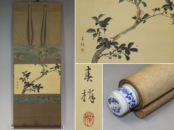  rare [ genuine work ].. spring .[ mountain tea flower ]* silk book@*. box * hanging scroll v09026